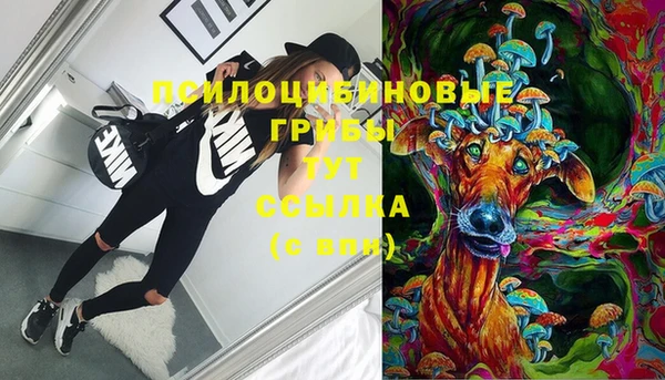 гашик Баксан