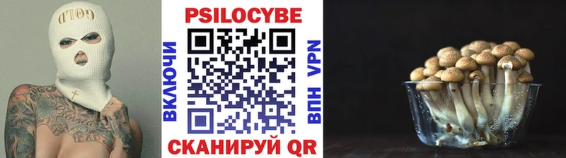 Псилоцибиновые грибы мицелий  Воткинск 